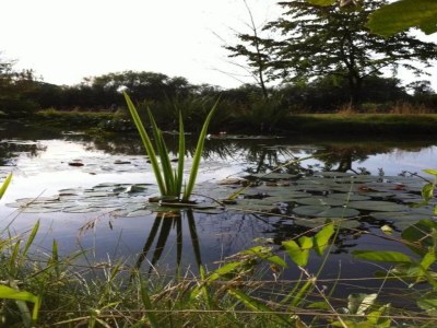 Holiday park Villa mit Gartenflucht - Environment photo 16