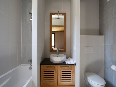 Holiday park Apartment in France near Ski Slopes - Features photo 14