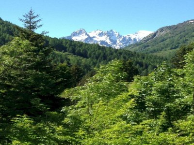 Holiday park Apartment in France near Ski Slopes - Environment photo 25