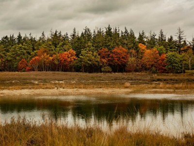 Holiday park Villa in Someren nahe Golfplatz - Environment photo 22