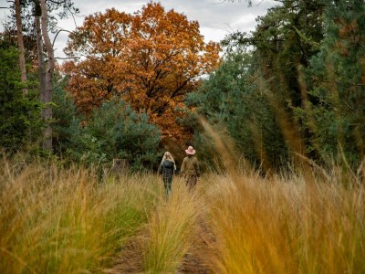 Holiday park Villa in Someren with Sauna near Golf Course - Environment photo 22