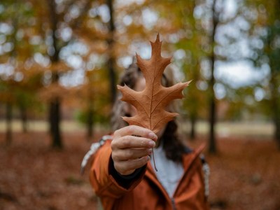 Holiday park Villa in Someren with Sauna near Golf Course - Outdoor photo 38