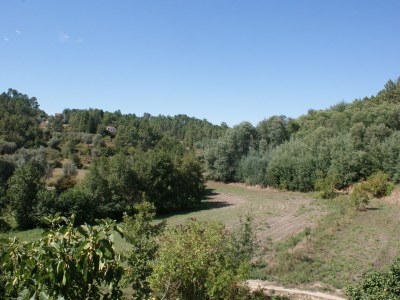 Holiday park Idyllic Country Cottage with Forest - Outdoor photo 3