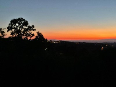 Holiday park Idyllic Country Cottage with Forest - Environment photo 35