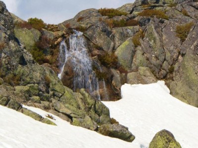 Holiday park Idyllic Country Cottage with Forest - Environment photo 36