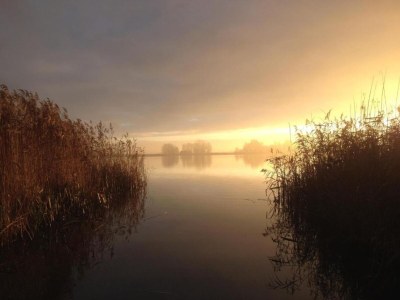 Holiday park Giethoorn Villa with Modern Touch - Environment photo 21