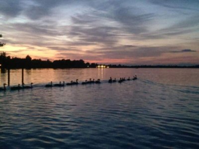 Holiday park Giethoorn Villa with Modern Touch - Environment photo 22