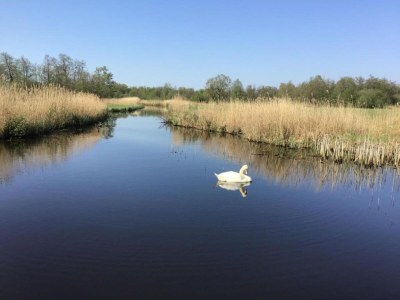 Holiday park Giethoorn Villa with Modern Touch - Environment photo 24