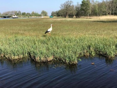 Holiday park Giethoorn Villa with Modern Touch - Environment photo 28