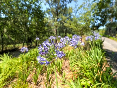 Holiday park Gehobene Villa mit Swimmingpool und Terrasse - Outdoor photo 25