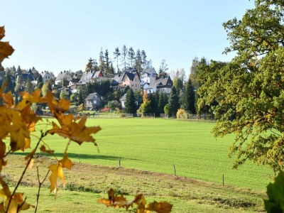 Holiday park Wohnung in Ellefeld nahe Skipisten - Environment photo 11