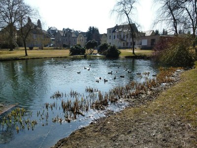 Holiday park Wohnung in Ellefeld nahe Skipisten - Environment photo 13