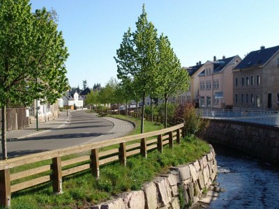 Holiday park Wohnung in Ellefeld nahe Skipisten - Environment photo 17