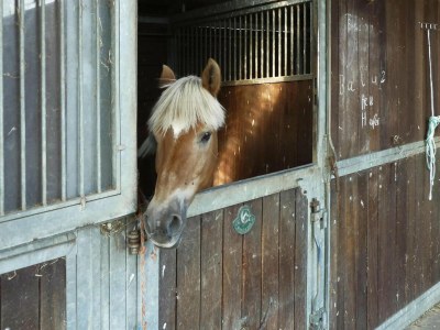 Holiday house Haus-Nr: DNS06008-FYB - Outdoor photo 40