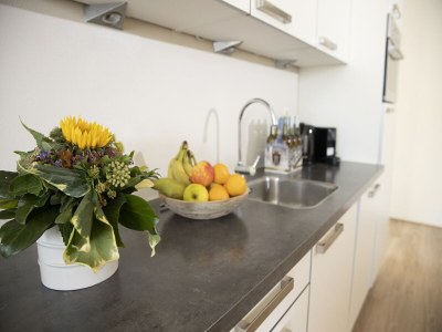 Holiday park Modern Penthouse with Sauna - Features photo 6