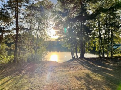 Holiday park Bungalow in Wolfsven am Naturgebiet - Environment photo 19