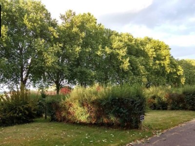 Apartment Ferienwohnung Dreiländerblick in Görlitz - Environment photo 15