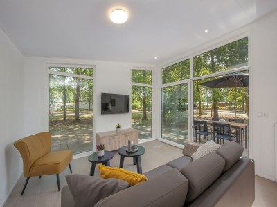 Holiday park Lodge in Bospark with Sauna & Garden - Features photo 3