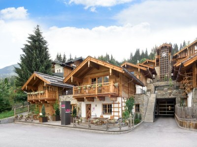 Chalet Chalet in Flachau mit einer Sauna - Outdoor photo 3