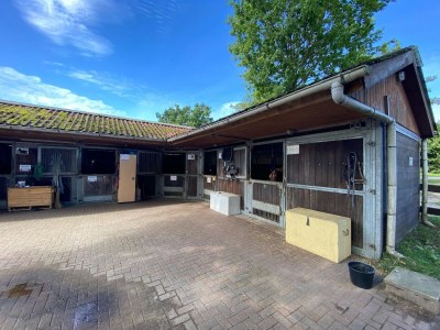 Holiday house Ferienhaus in Seenöhe in Hechthausen - Environment photo 22