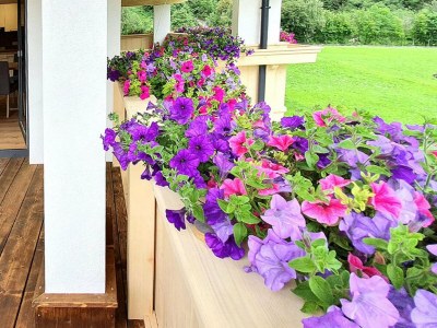 Apartment Apartment in Stubai Alps with SuperCard - Outdoor photo 2