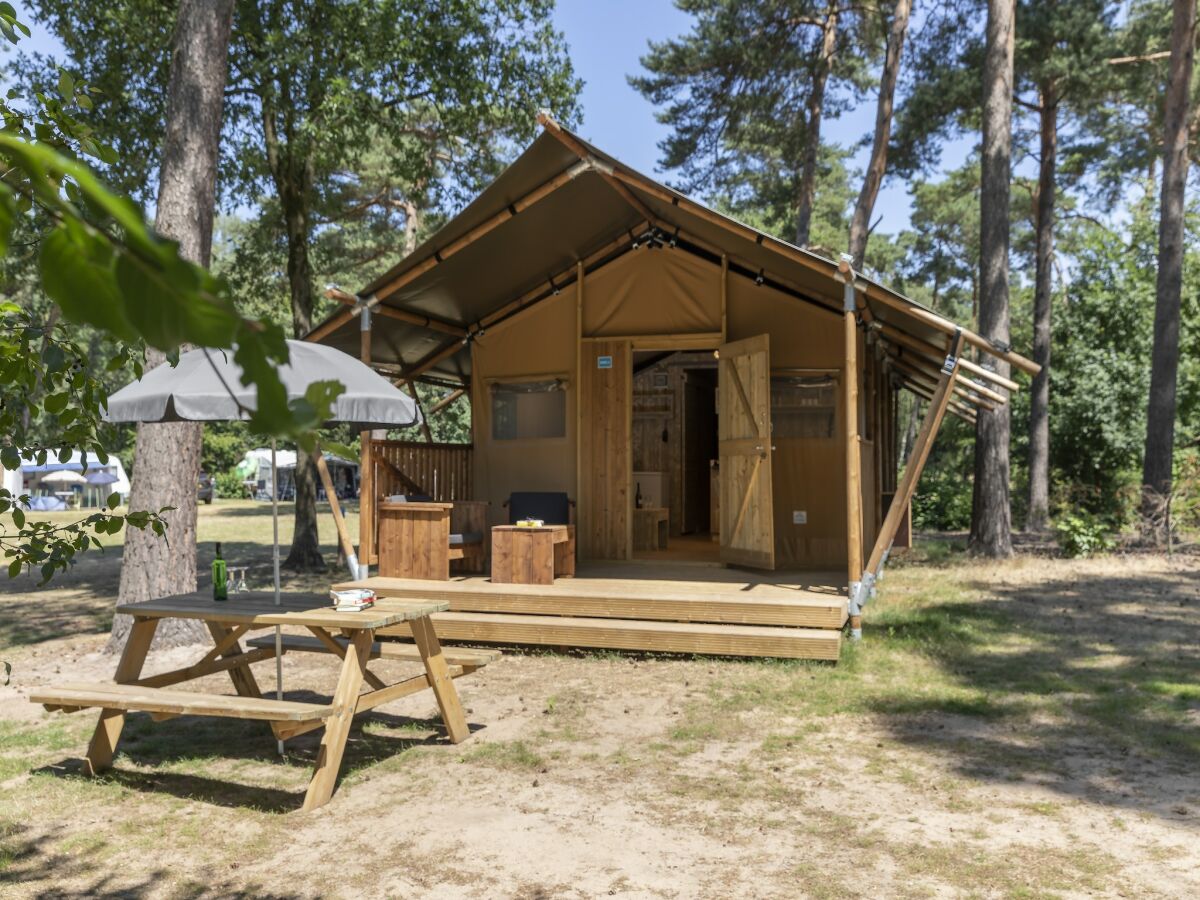 Holiday park Safari Tent in Eindhoven near Nature Park