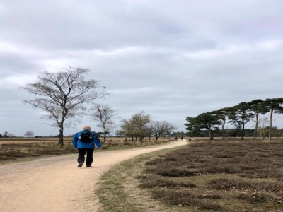 Holiday park Safari Tent in Eindhoven near Nature Park - Environment photo 12