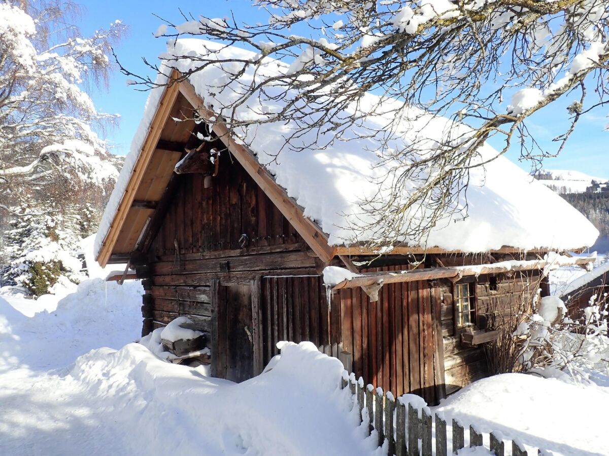 Holiday house Farmhouse in Weißpriach near Mountain Lakes - Outdoor photo 3