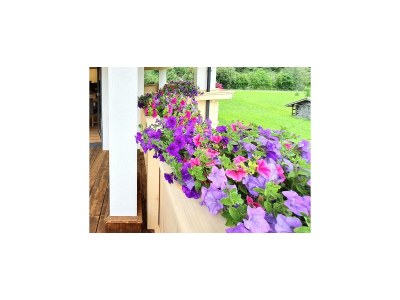 Apartment Wohnung in Milders mit Stubai SuperCard - Outdoor photo 4