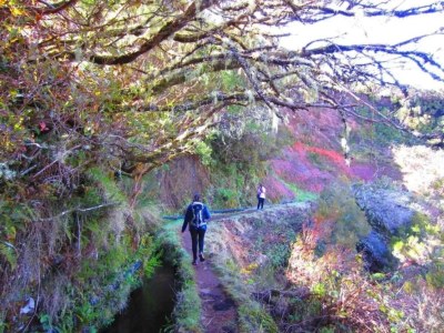 Holiday park Villa-Ausflug in Santo António da Serra - Environment photo 33