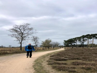 Holiday park Chalet near Eindhoven with Private Sauna - Environment photo 17