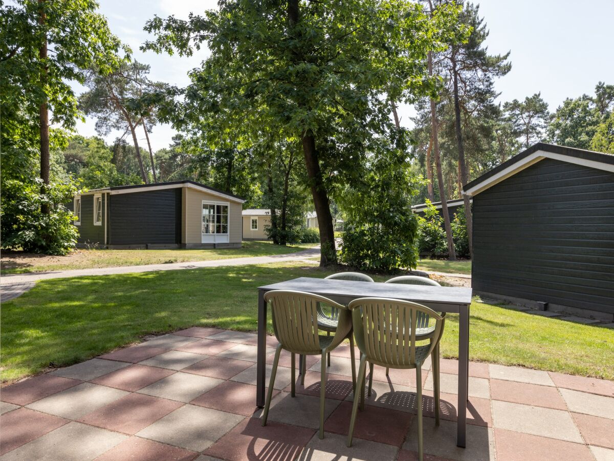 Holiday park Chalet in De Peel near Forest - Outdoor photo 2