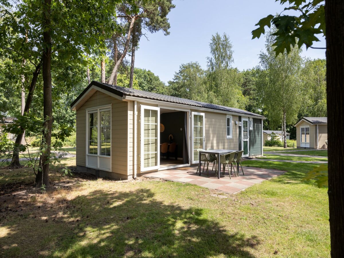 Holiday park Chalet in De Peel near Forest - Outdoor photo 3