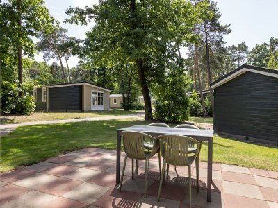 Holiday park Chalet in De Peel near Forest - Outdoor photo 2