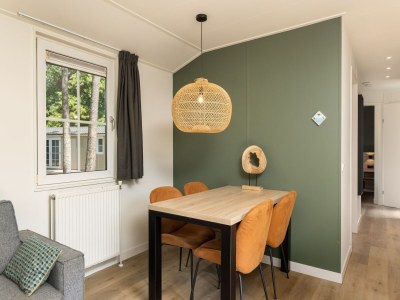 Holiday park Chalet in De Peel near Forest - Features photo 6