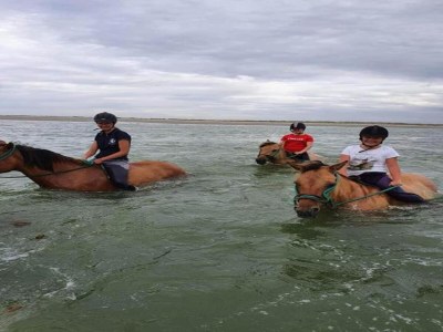 Holiday park Ferienhaus in Quend-Plage am Wald - Environment photo 19