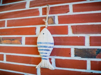 Apartment Ferienwohnung in St. Peter-Ording - Outdoor photo 19