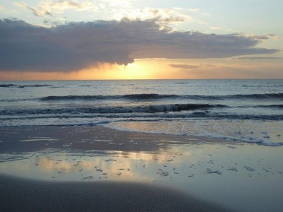 Apartment Ferienwohnung in St. Peter-Ording - Environment photo 26