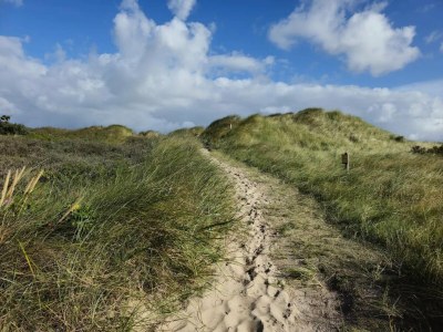 Apartment Ferienwohnung in St. Peter-Ording - Environment photo 30