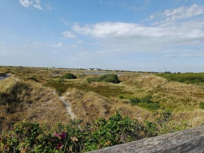 Apartment Ferienwohnung in St. Peter-Ording - Environment photo 31