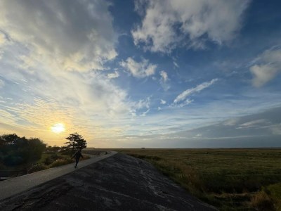 Apartment Ferienwohnung in St. Peter-Ording - Environment photo 21