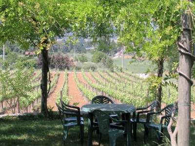 Farmhouse Farmhouse in Umbertide near Golf Club - Outdoor photo 13
