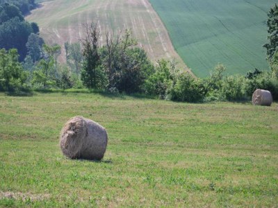 Farmhouse Farmhouse in Umbertide near Golf Club - Environment photo 28