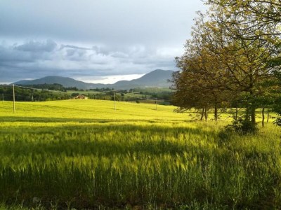 Farmhouse Farmhouse in Umbertide near Golf Club - Environment photo 29