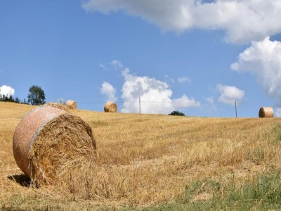 Farmhouse Farmhouse in Umbertide near Golf Club - Environment photo 30