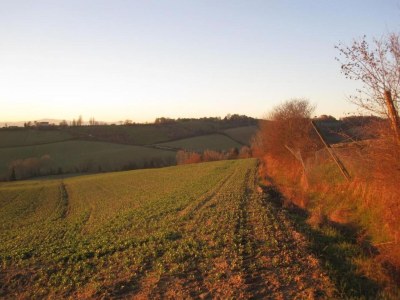 Farmhouse Farmhouse in Umbertide near Golf Club - Environment photo 31