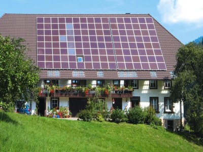 Holiday park Ferienhaus in Hornberg bei Triberg in Middle Black Forest - Holiday park