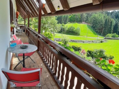 Holiday park Ferienhaus in Hornberg bei Triberg - Outdoor photo 2