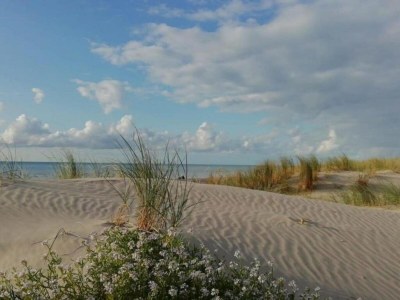 Holiday park Wohnung in Quend nahe dem Meer - Environment photo 27