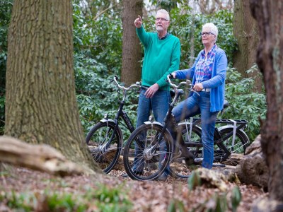 Holiday park Villa with bubble bath, solarium and fireplace - Outdoor photo 19